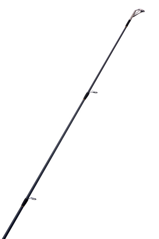 DET. 2 ASAGO Cañas enchufables Carbono spinning